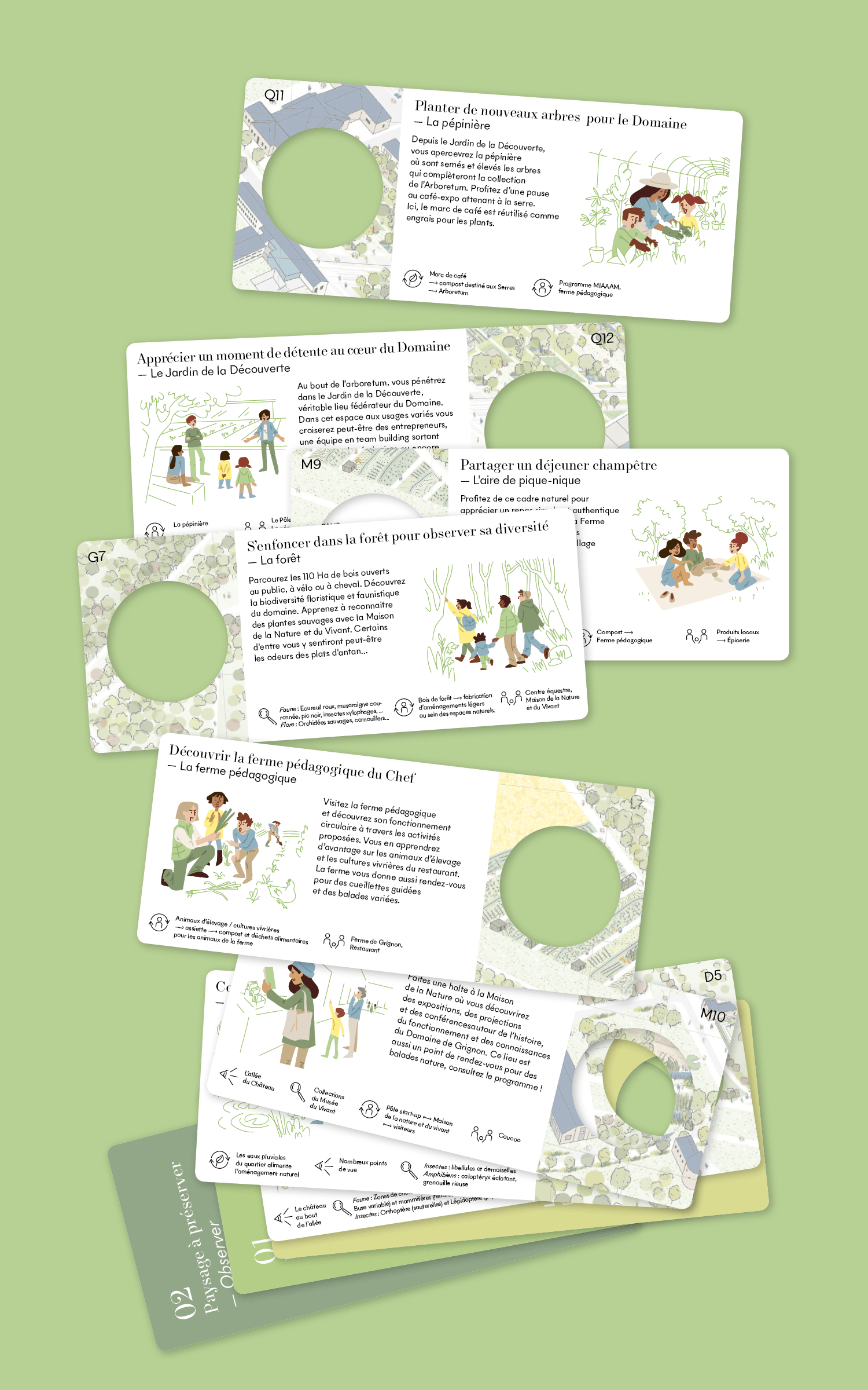 Caroline Wang illustration de fiches