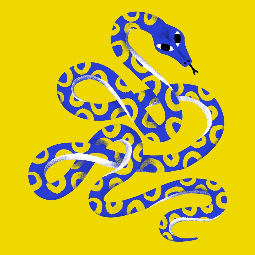 Serpent bleu_fond jaune